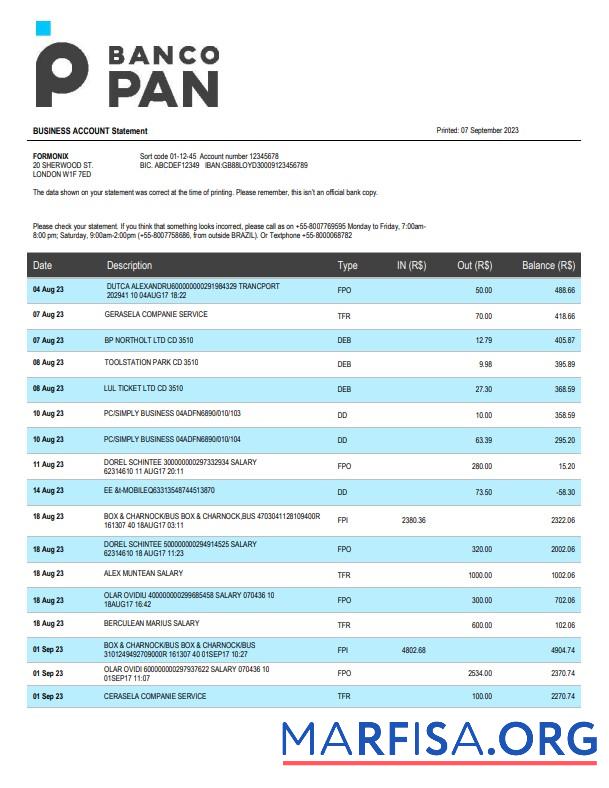 Printable Banco Pan Bank firm account statement Word and PDF template